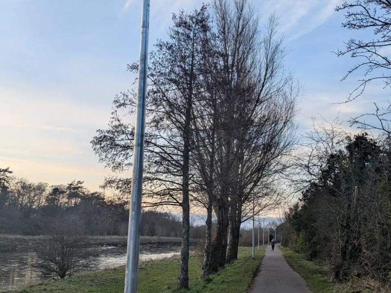 A close-up photograph — is it Dumfries?