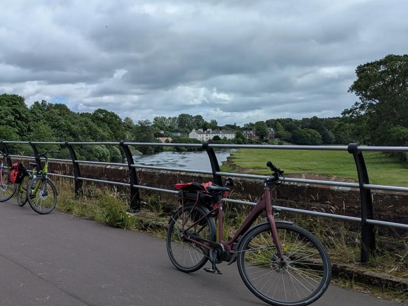 A close-up photograph — is it Dumfries?
