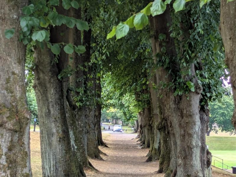 A close-up photograph — is it Dumfries?