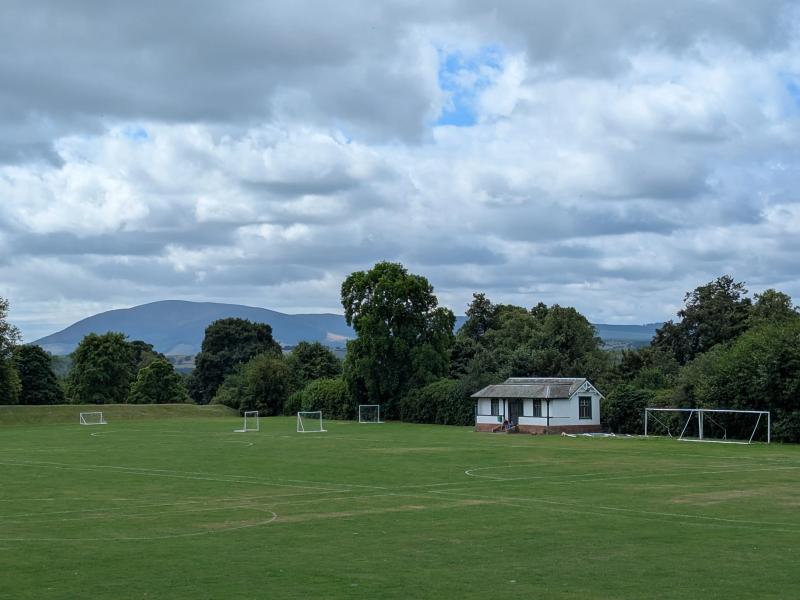 A close-up photograph — is it Dumfries?