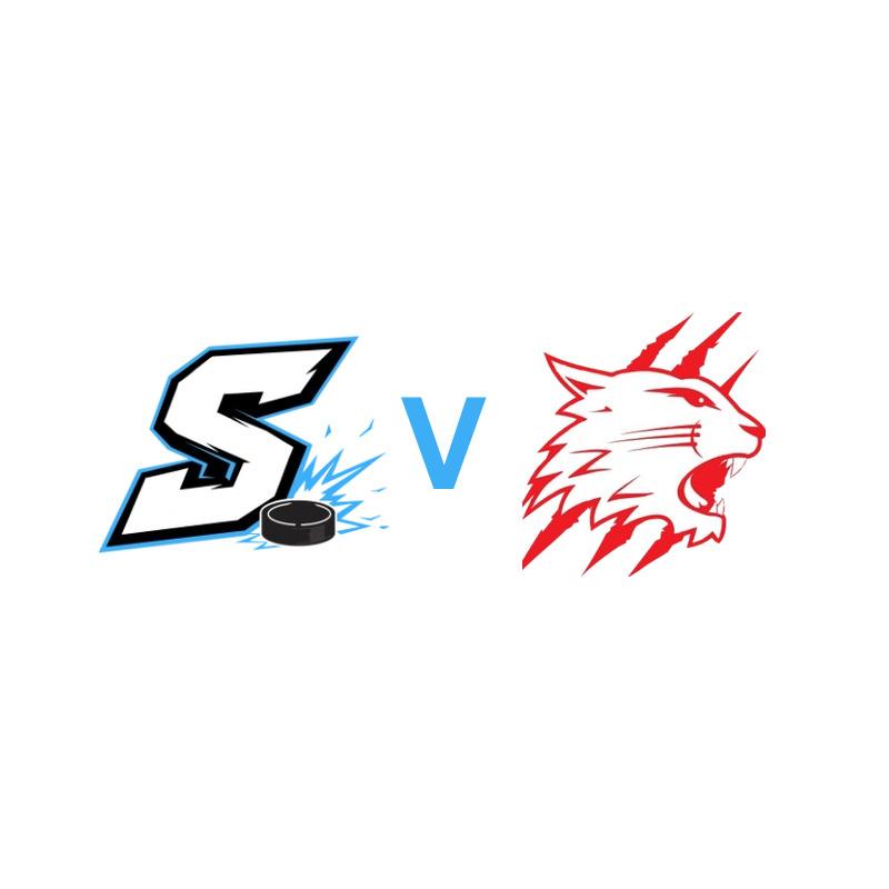 Solway Ice Hockey vs Swindon Wildcats