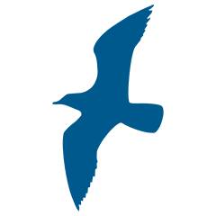 Dumfries and Galloway Mental Health Association (DGMHA) logo