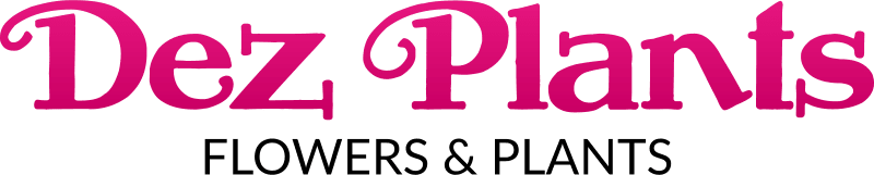 Dez Plants logo