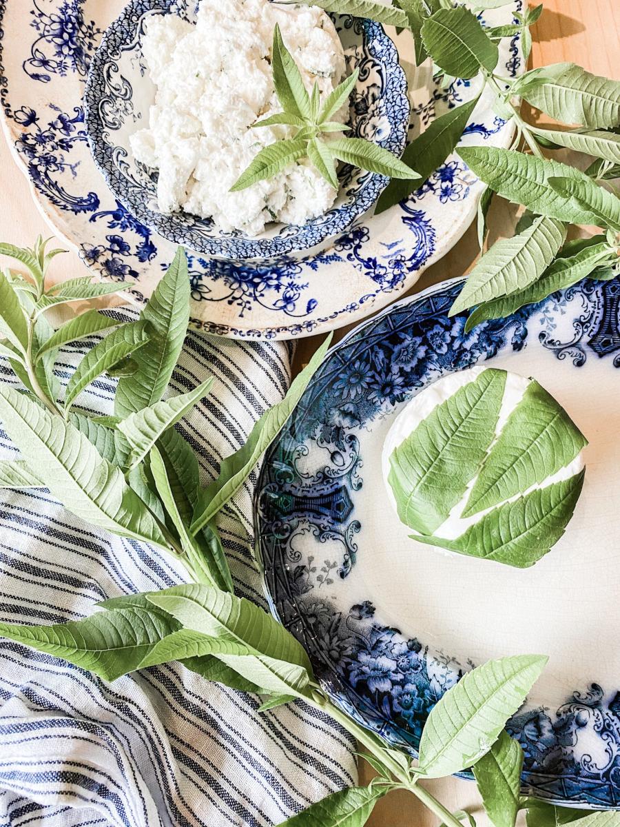 Cheese School with wine pairing