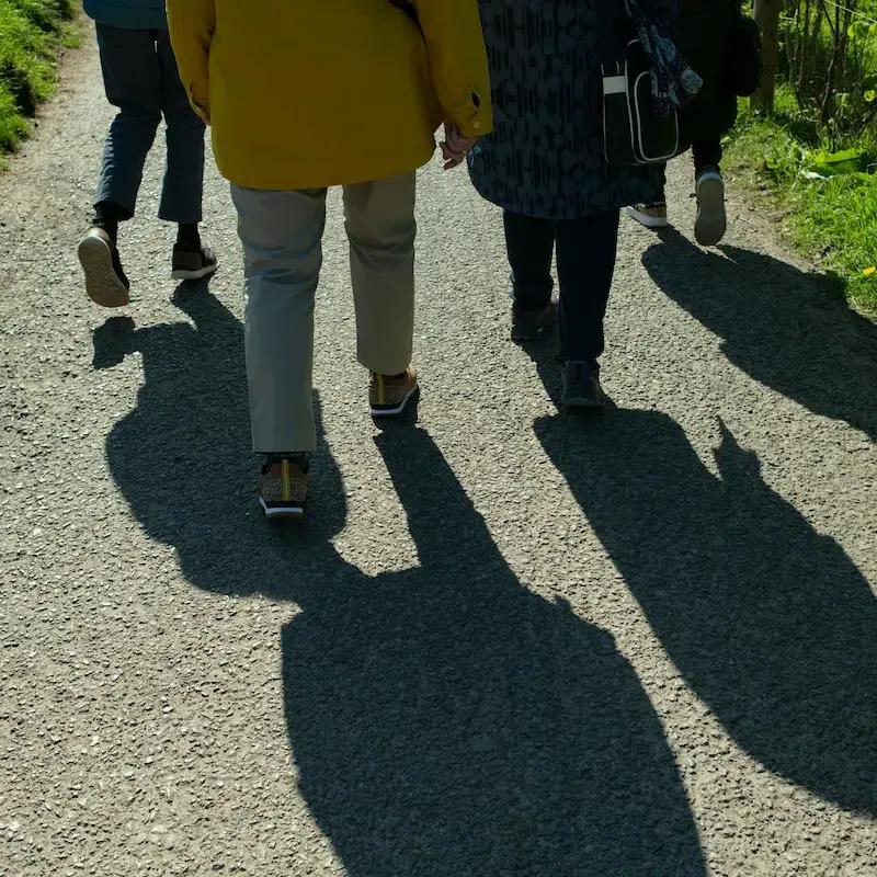 Stroll & Strength Walks - Summerhill