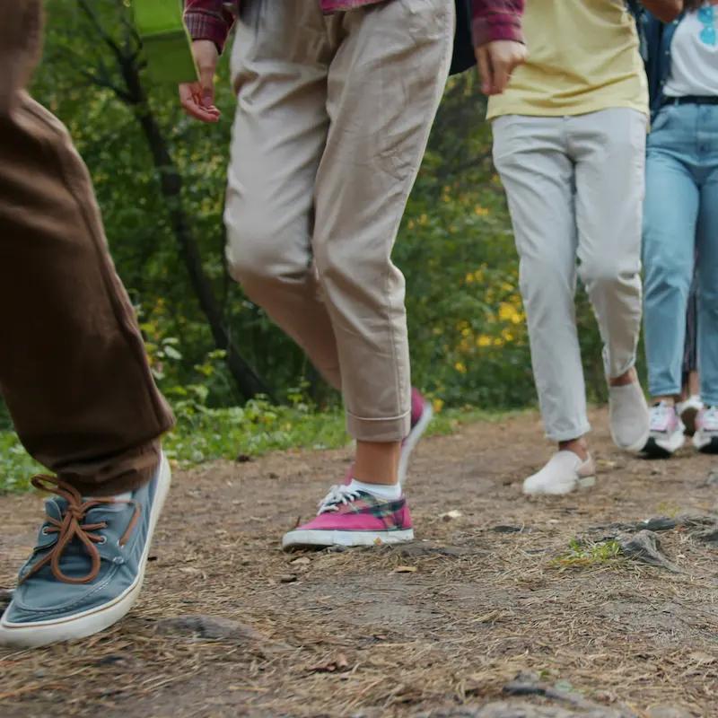 Wellbeing Walk - Easterbrook Hall carpark
