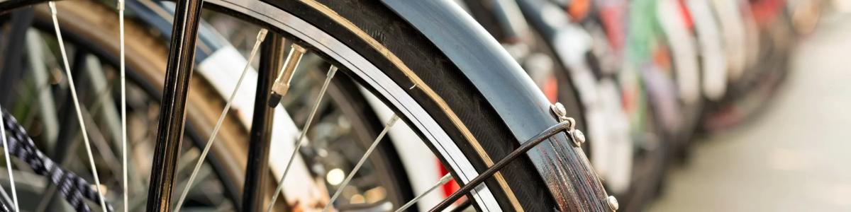 Bike Shed - Shop Open Day
