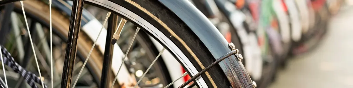 Bike Shed - Shop Open Day