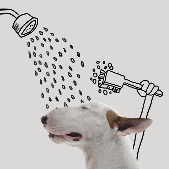 It's a Dog's Life Exhibition